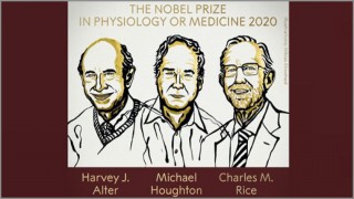 হেপাটাইটিস সি আবিষ্কার করে ৩ চিকিৎসা বিজ্ঞানীর নোবেল বিজয়